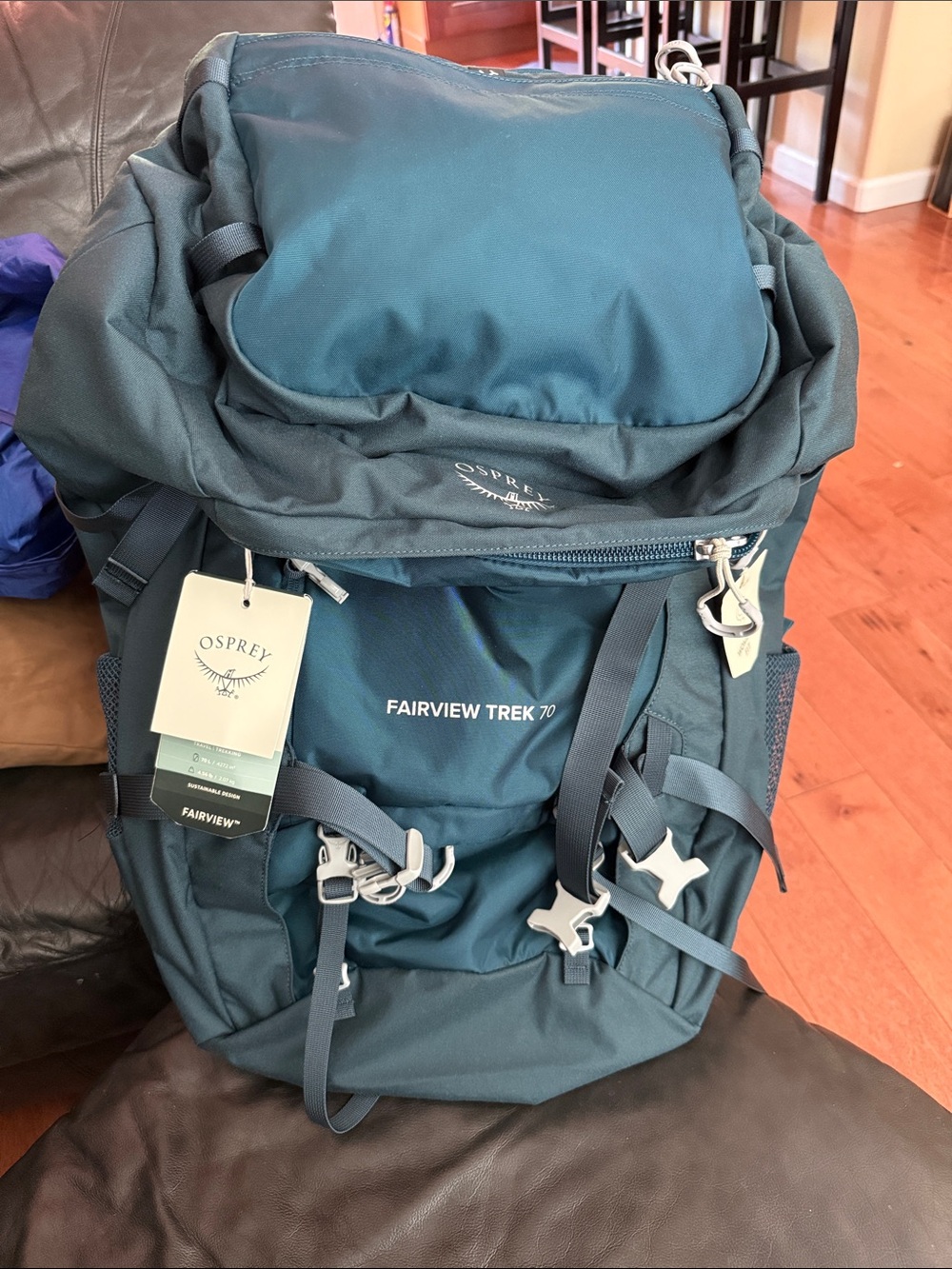 Osprey Backpacking pack